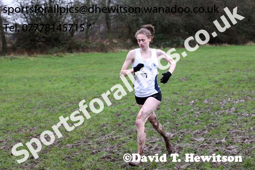 Senior girls Northern Inter Counties Schools Cross Country, Stockton. Photo: David T. Hewitson/Sports for All Pics